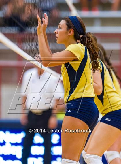 Thumbnail 1 in Brandeis vs O'Connor photogallery.