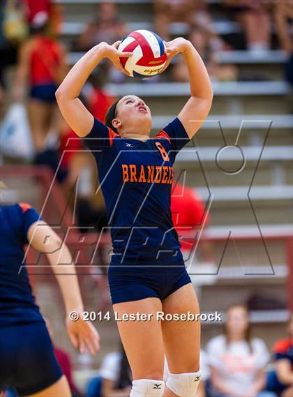 Thumbnail 1 in Brandeis vs O'Connor photogallery.