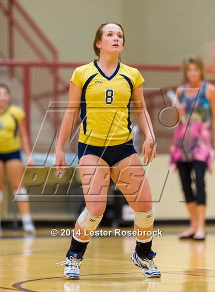 Thumbnail 2 in Brandeis vs O'Connor photogallery.