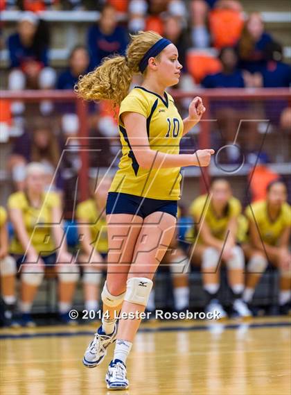 Thumbnail 1 in Brandeis vs O'Connor photogallery.