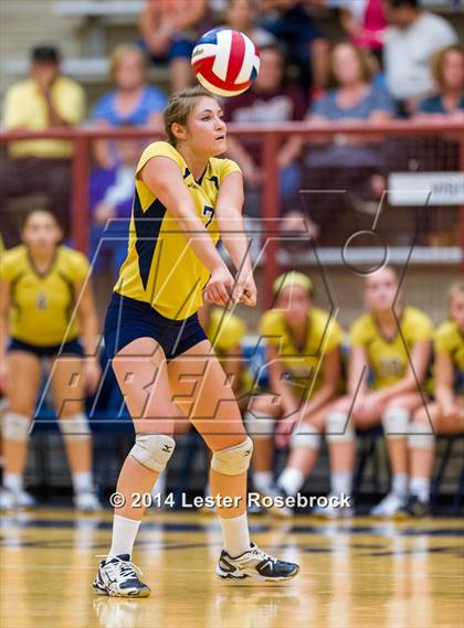 Thumbnail 2 in Brandeis vs O'Connor photogallery.