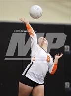 Photo from the gallery "Roosevelt @ Selma"