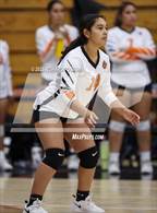 Photo from the gallery "Roosevelt @ Selma"