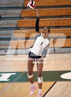 Photo from the gallery "Bishop McNamara vs Flint Hill (Tiger Paws Invitational)"