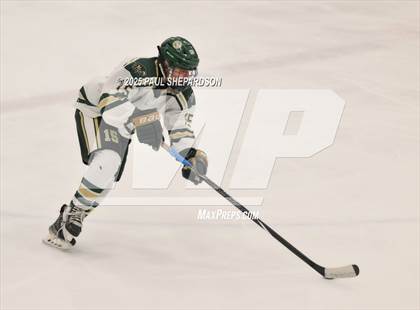 Thumbnail 3 in Chaparral @ Mountain Vista photogallery.