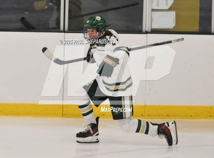 Thumbnail 3 in Chaparral @ Mountain Vista photogallery.