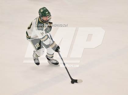 Thumbnail 3 in Chaparral @ Mountain Vista photogallery.