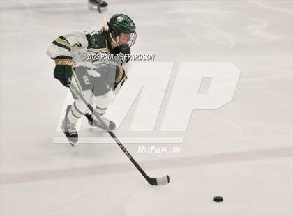 Thumbnail 3 in Chaparral @ Mountain Vista photogallery.