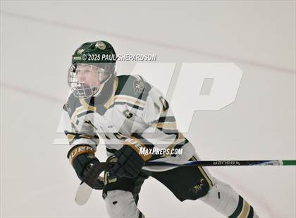 Thumbnail 3 in Chaparral @ Mountain Vista photogallery.