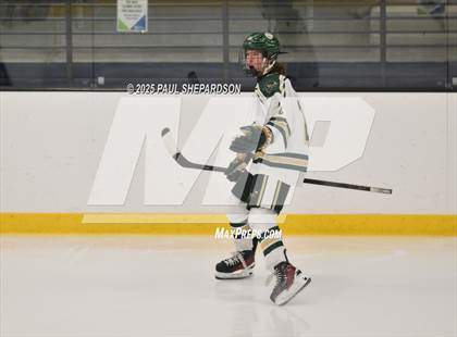 Thumbnail 3 in Chaparral @ Mountain Vista photogallery.