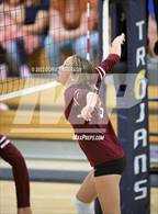 Photo from the gallery "Whitney @ Oak Ridge"
