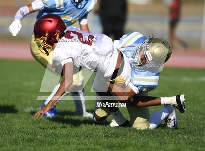 Thumbnail 2 in Highland @ Quartz Hill photogallery.