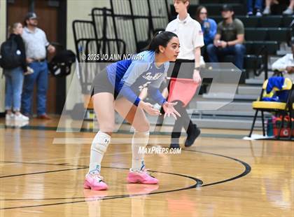 Thumbnail 3 in Barbers Hill vs. College Station (UIL 5A D1 Volleyball Area Playoff) photogallery.
