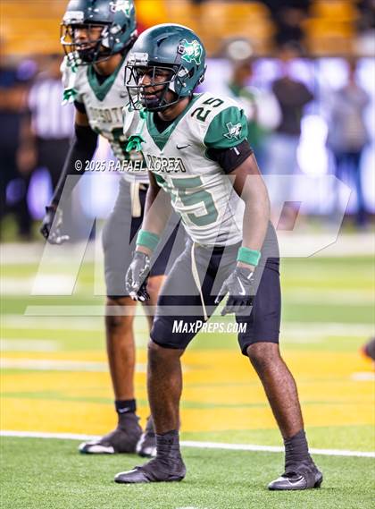 Thumbnail 1 in DeSoto vs. Willis (UIL 6A D2 Football Quarterfinals) photogallery.