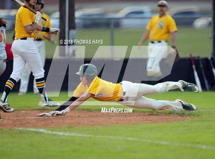 Thumbnail 3 in Captain Shreve @ Northwood photogallery.