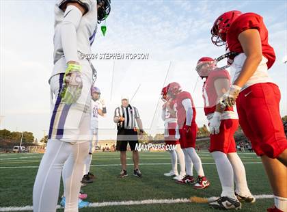 Thumbnail 2 in Tokay @ Lodi photogallery.