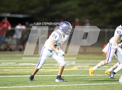 Thumbnail 1 in Tokay @ Lodi photogallery.
