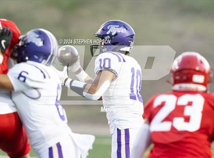 Thumbnail 2 in Tokay @ Lodi photogallery.