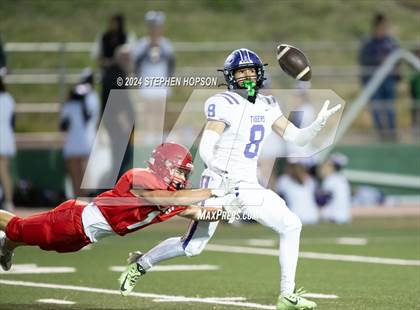 Thumbnail 2 in Tokay @ Lodi photogallery.