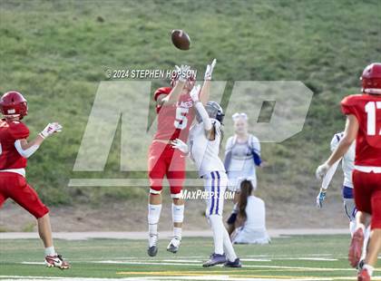 Thumbnail 3 in Tokay @ Lodi photogallery.