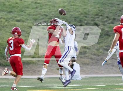 Thumbnail 2 in Tokay @ Lodi photogallery.