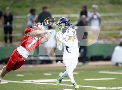 Thumbnail 1 in Tokay @ Lodi photogallery.