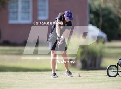 Thumbnail 3 in Patriot Conference Golf photogallery.