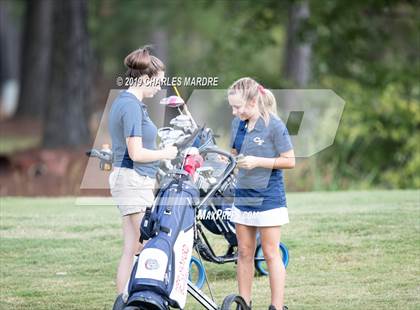 Thumbnail 2 in Patriot Conference Golf photogallery.