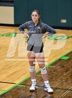 Photo from the gallery "Pleasant Grove @ Tatum"