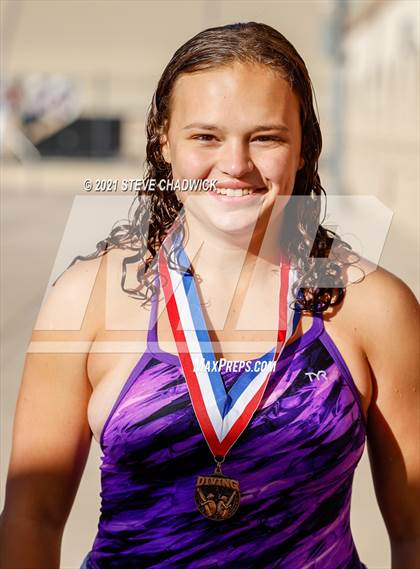 Thumbnail 2 in AIA Division1-3 Diving State Championships  (Awards) photogallery.