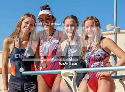 Thumbnail 2 in AIA Division1-3 Diving State Championships  (Awards) photogallery.
