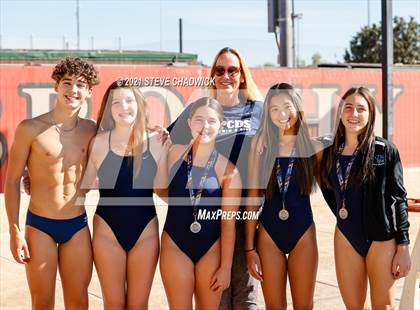 Thumbnail 2 in AIA Division1-3 Diving State Championships  (Awards) photogallery.
