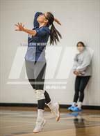 Photo from the gallery "Spring Valley @ Amplus Academy"