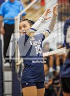 Photo from the gallery "Spring Valley @ Amplus Academy"