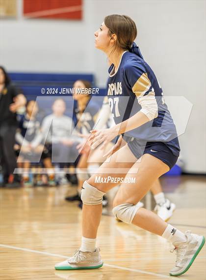 Thumbnail 2 in Spring Valley @ Amplus Academy photogallery.