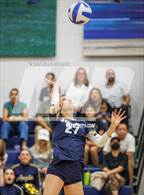 Photo from the gallery "Spring Valley @ Amplus Academy"