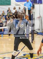 Photo from the gallery "Spring Valley @ Amplus Academy"