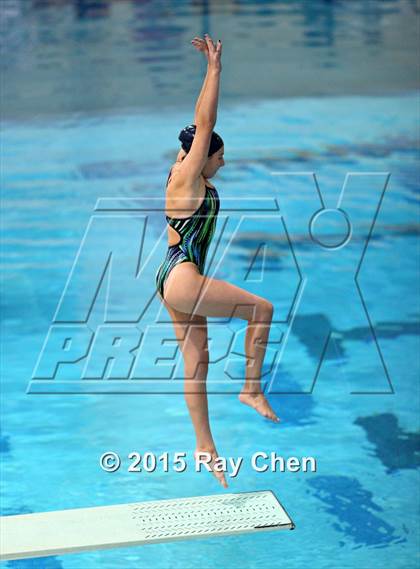 Thumbnail 2 in Coaches Invitational (Final Diving) photogallery.