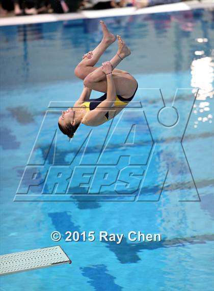 Thumbnail 2 in Coaches Invitational (Final Diving) photogallery.