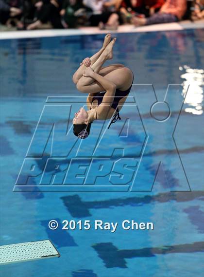 Thumbnail 3 in Coaches Invitational (Final Diving) photogallery.