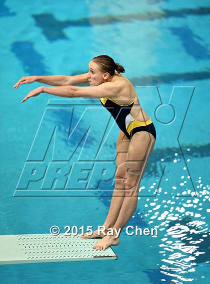 Thumbnail 1 in Coaches Invitational (Final Diving) photogallery.