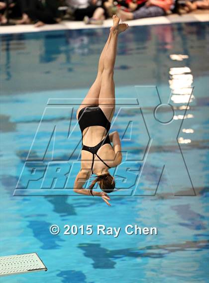 Thumbnail 2 in Coaches Invitational (Final Diving) photogallery.