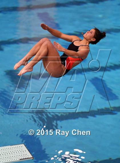 Thumbnail 1 in Coaches Invitational (Final Diving) photogallery.