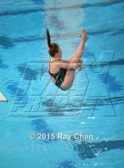 Thumbnail 2 in Coaches Invitational (Final Diving) photogallery.