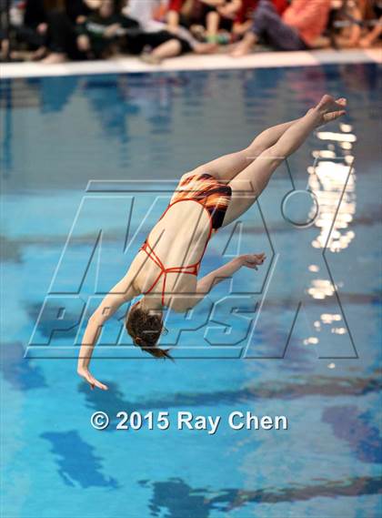 Thumbnail 2 in Coaches Invitational (Final Diving) photogallery.