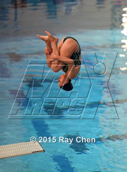 Thumbnail 3 in Coaches Invitational (Final Diving) photogallery.