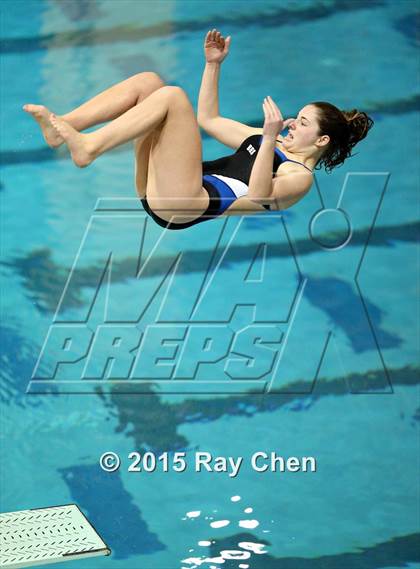 Thumbnail 2 in Coaches Invitational (Final Diving) photogallery.