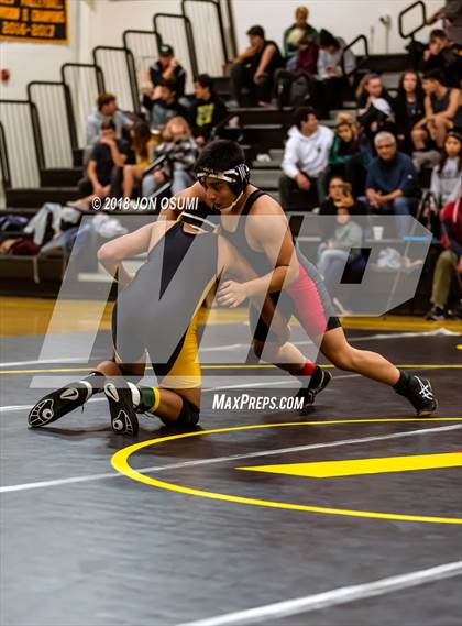 Thumbnail 1 in Rio Mesa @ Ventura photogallery.