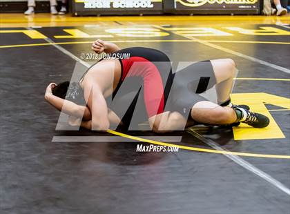 Thumbnail 3 in Rio Mesa @ Ventura photogallery.