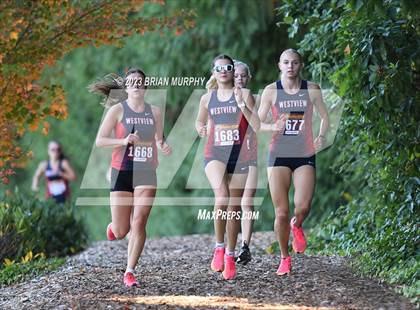Thumbnail 3 in Westview & Southridge @ Jesuit photogallery.